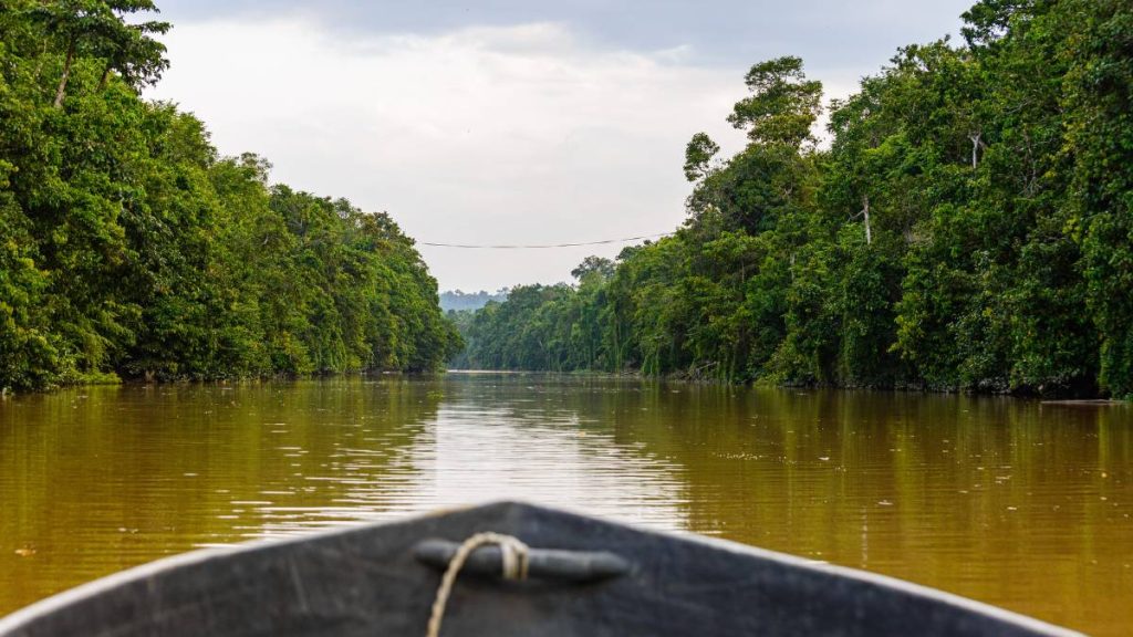 Kinabatangan River
